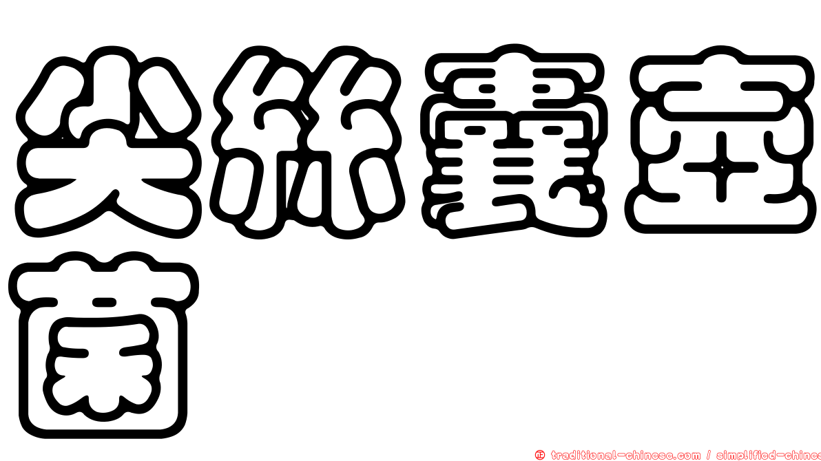 尖絲囊壺菌
