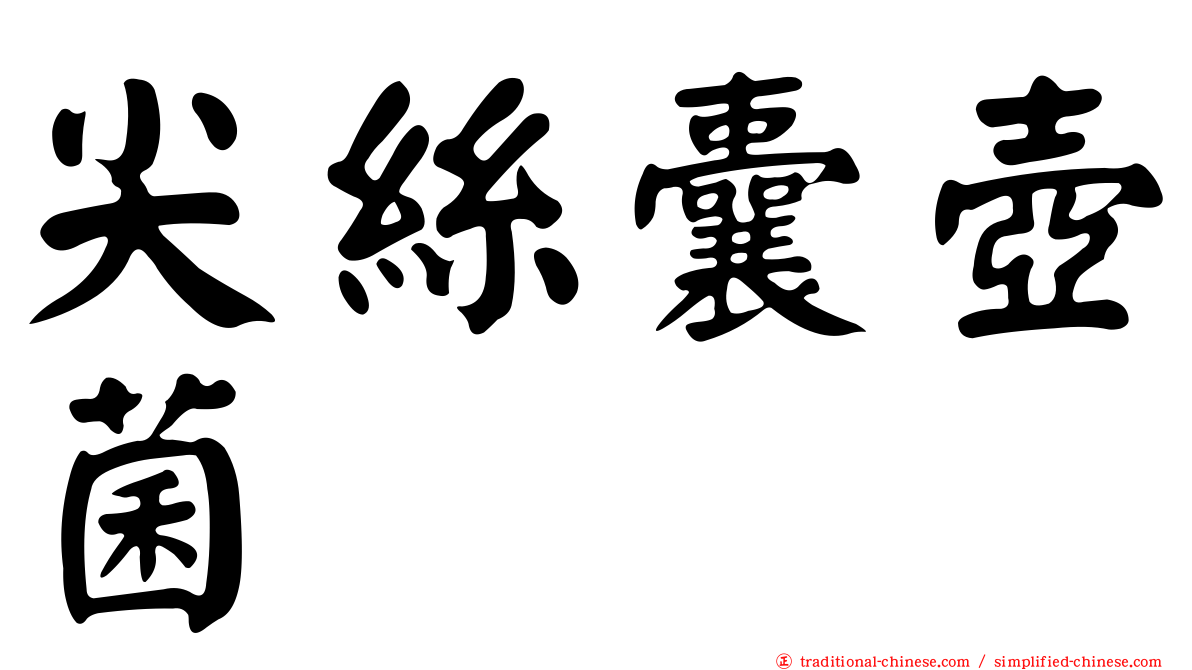 尖絲囊壺菌