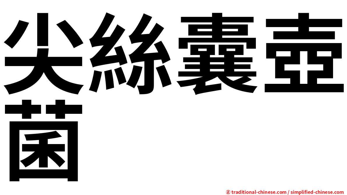 尖絲囊壺菌