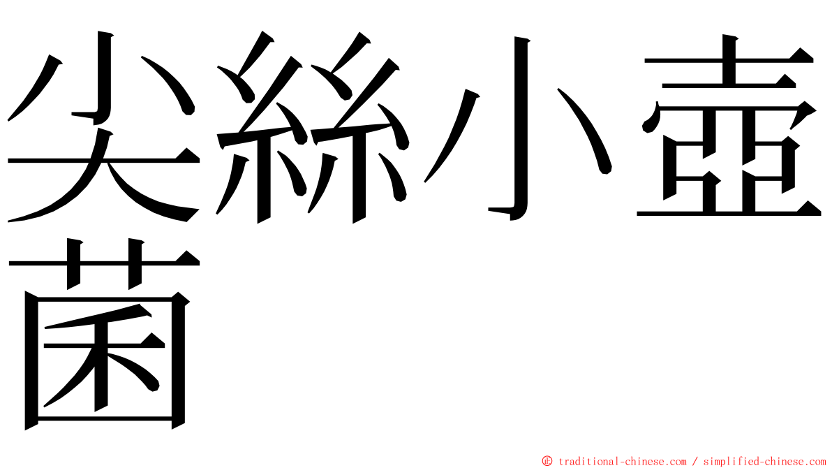 尖絲小壺菌 ming font