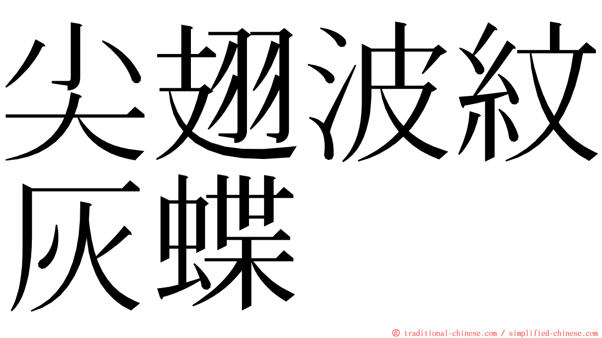 尖翅波紋灰蝶 ming font
