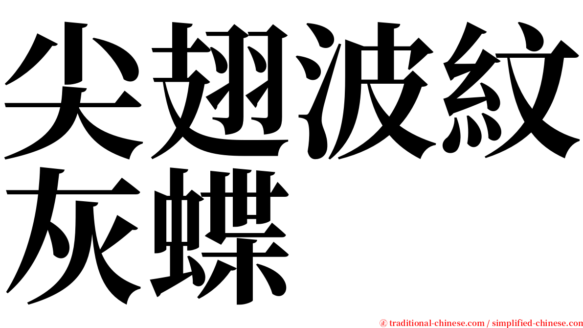 尖翅波紋灰蝶 serif font