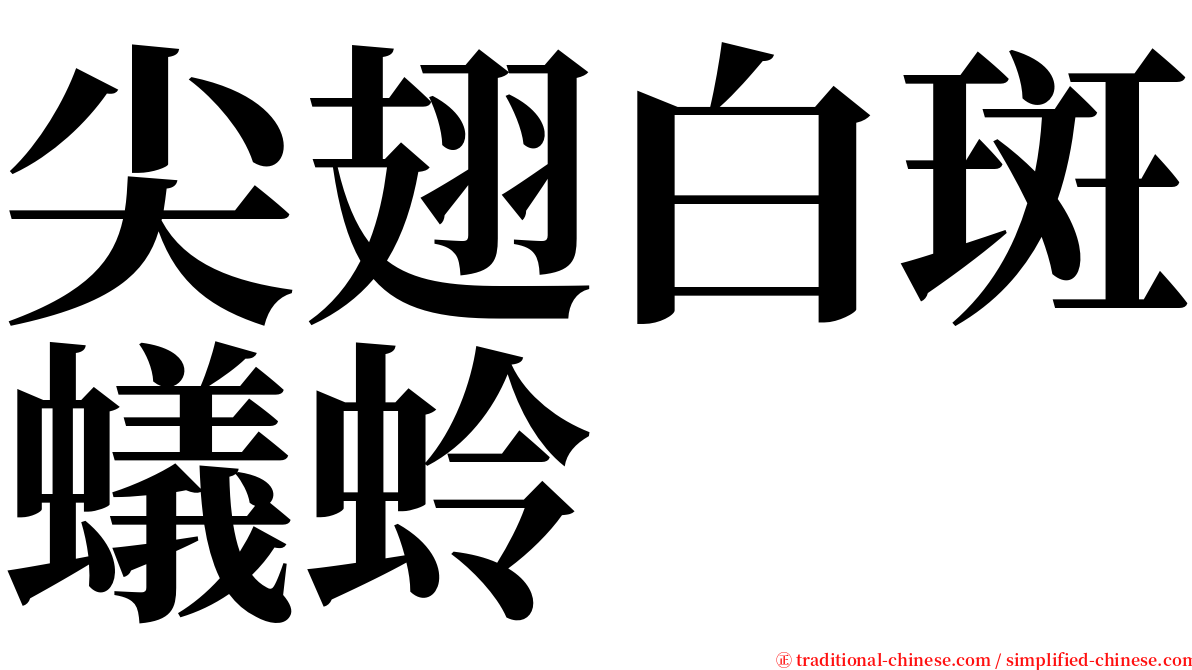 尖翅白斑蟻蛉 serif font