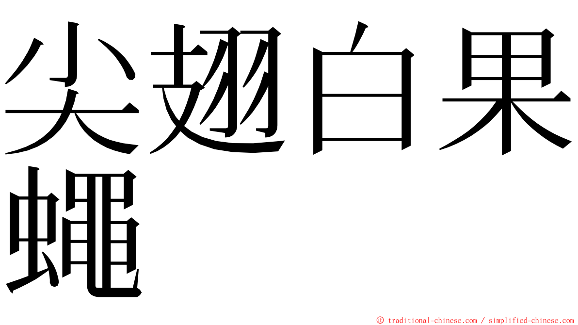 尖翅白果蠅 ming font