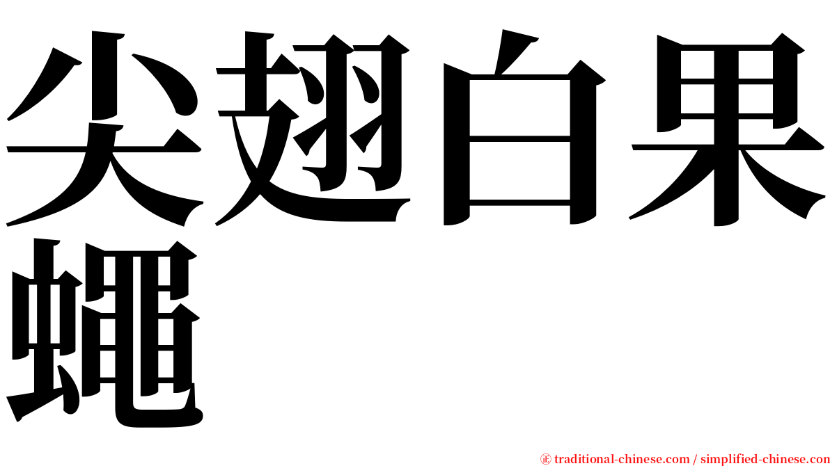 尖翅白果蠅 serif font