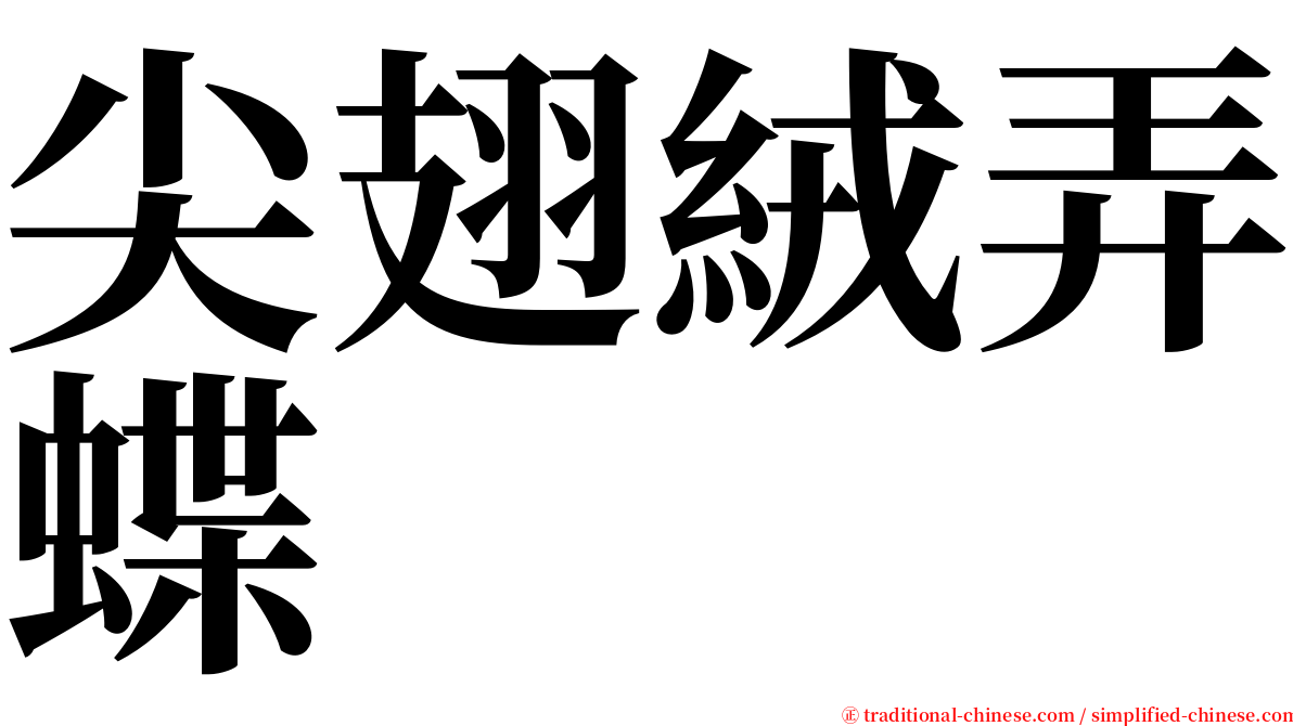 尖翅絨弄蝶 serif font