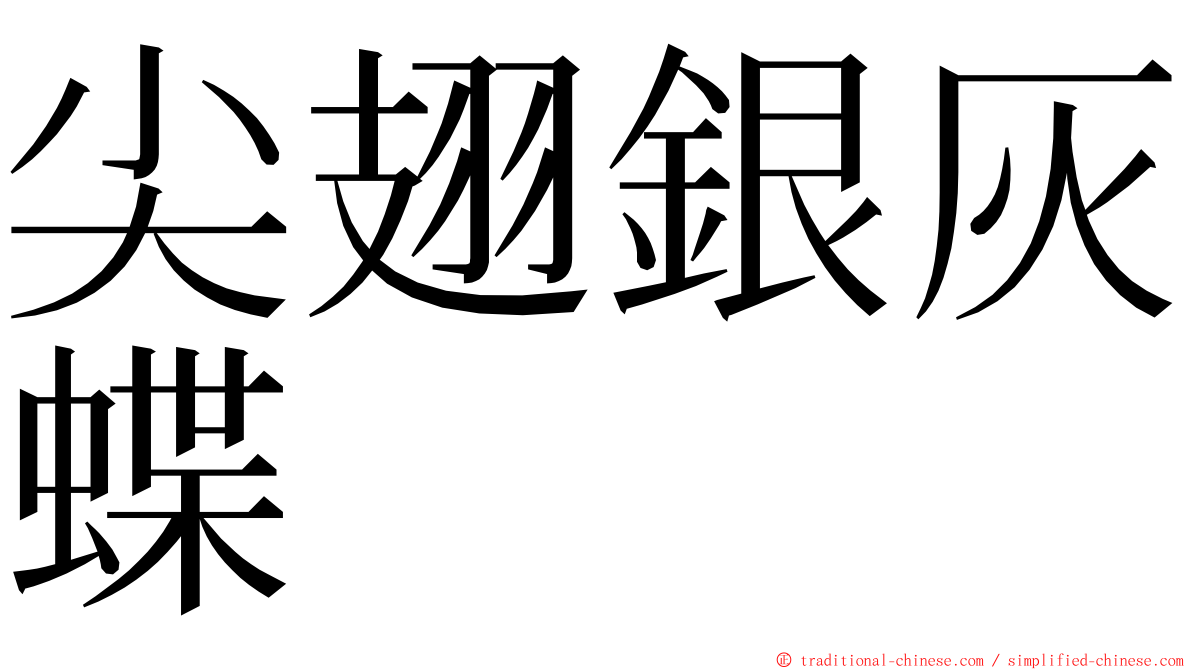 尖翅銀灰蝶 ming font