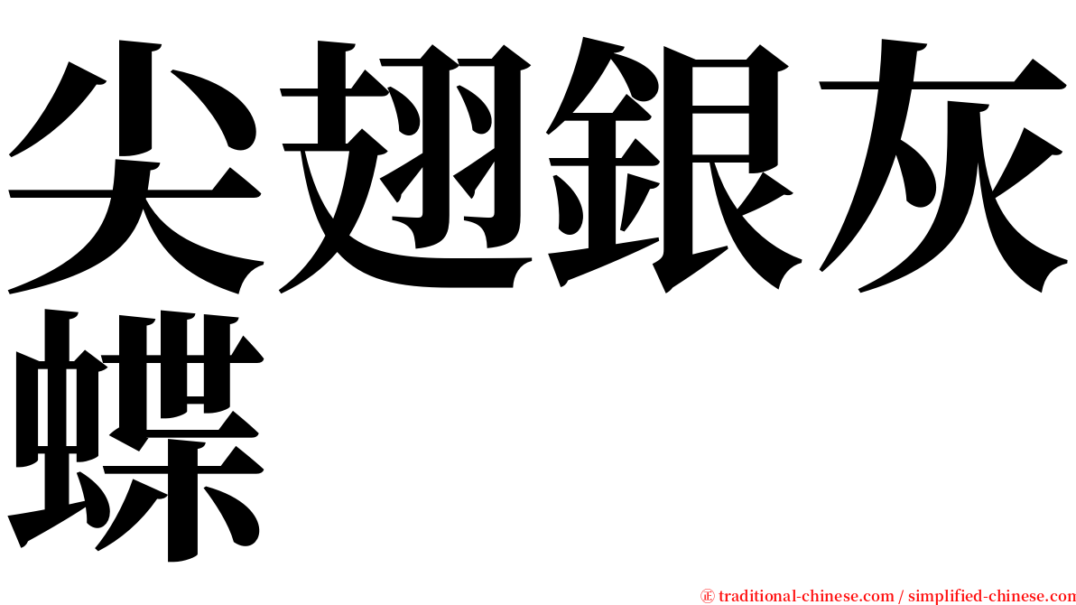 尖翅銀灰蝶 serif font