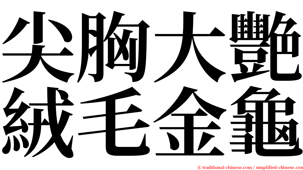 尖胸大艷絨毛金龜 serif font