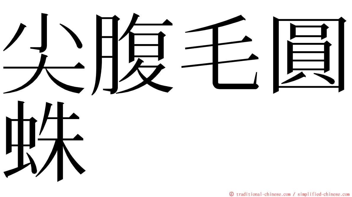 尖腹毛圓蛛 ming font