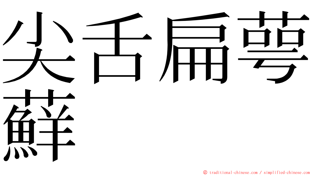 尖舌扁萼蘚 ming font