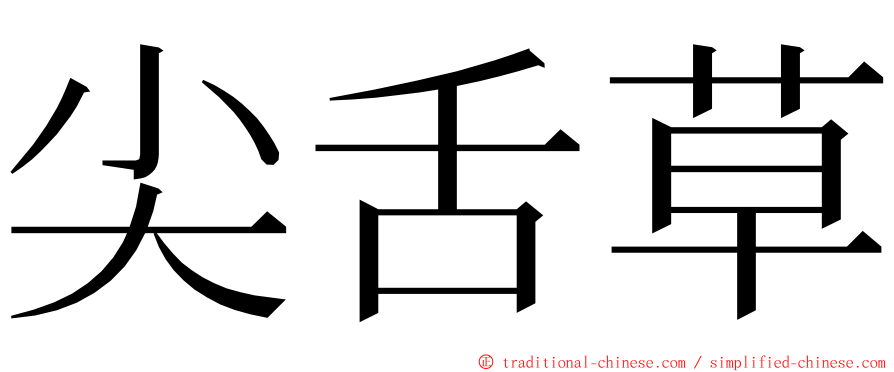 尖舌草 ming font