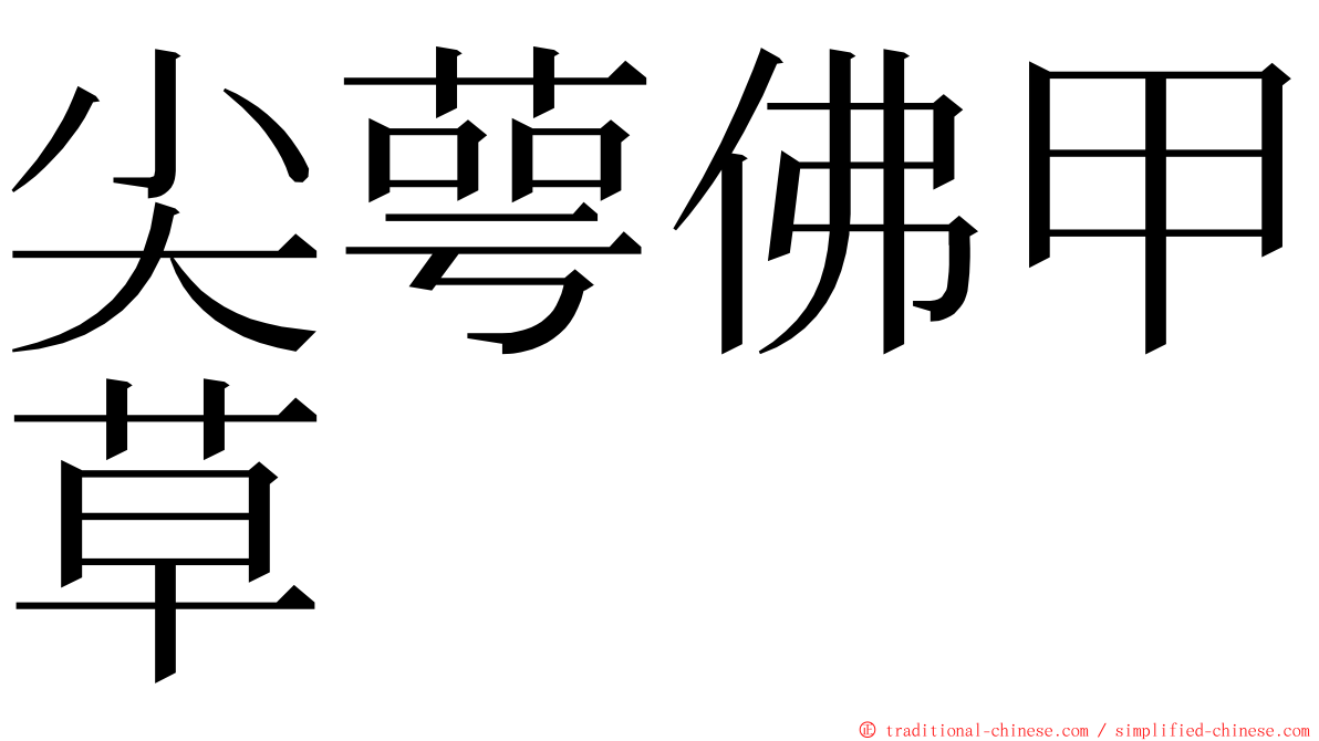 尖萼佛甲草 ming font