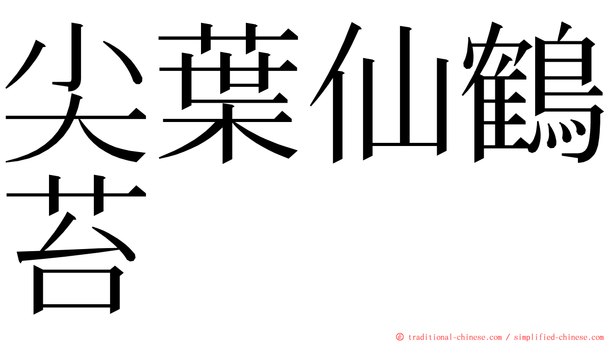 尖葉仙鶴苔 ming font