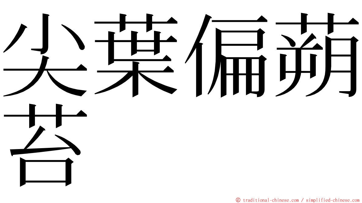 尖葉偏蒴苔 ming font