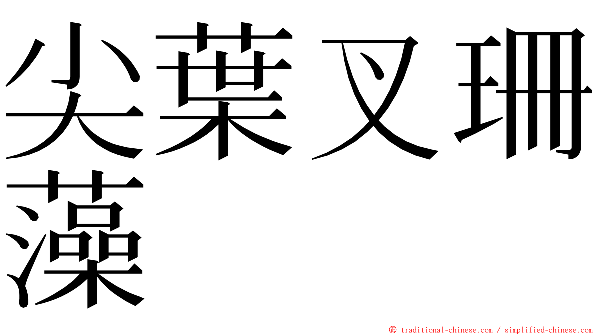 尖葉叉珊藻 ming font