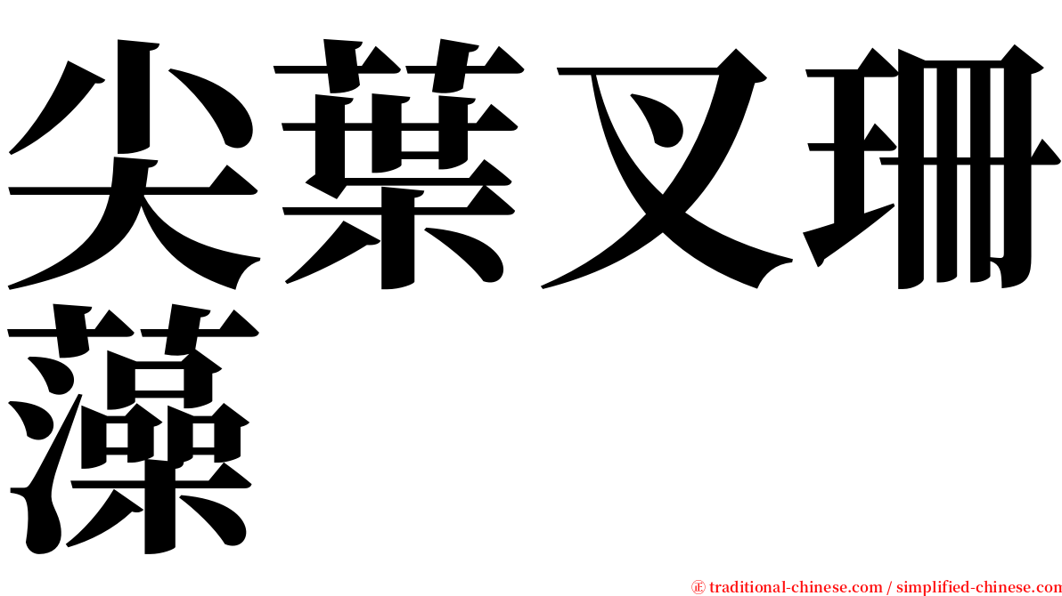 尖葉叉珊藻 serif font