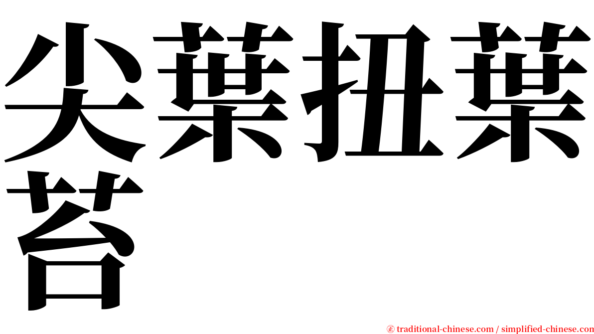 尖葉扭葉苔 serif font