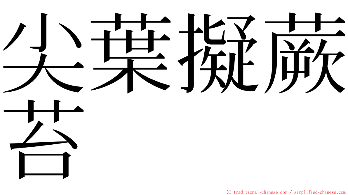 尖葉擬蕨苔 ming font