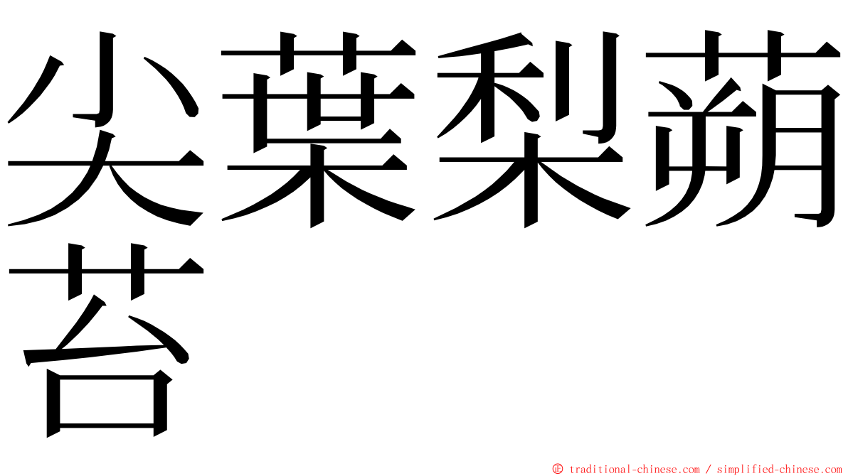 尖葉梨蒴苔 ming font