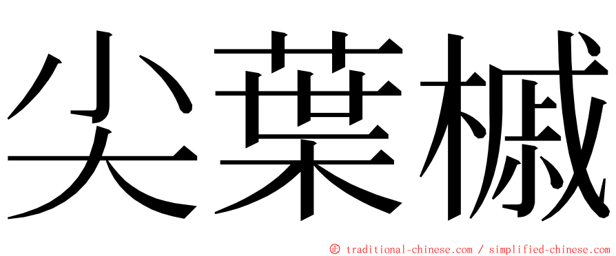 尖葉槭 ming font