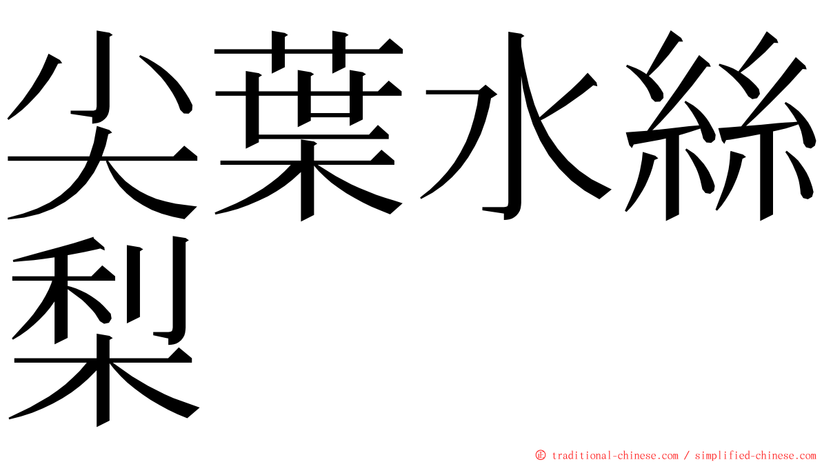 尖葉水絲梨 ming font