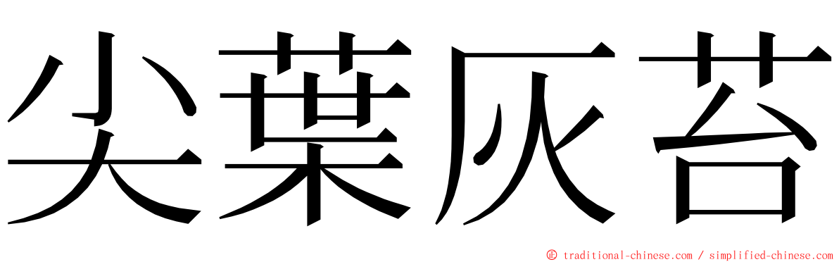 尖葉灰苔 ming font