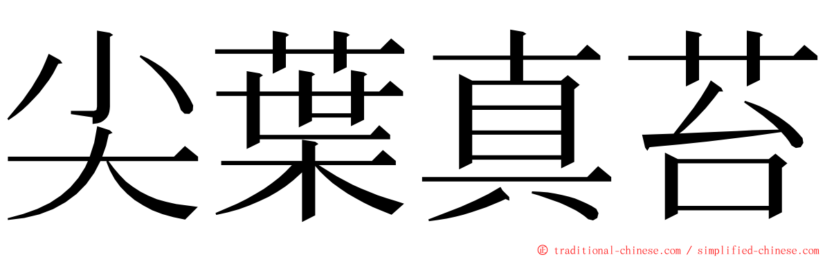 尖葉真苔 ming font