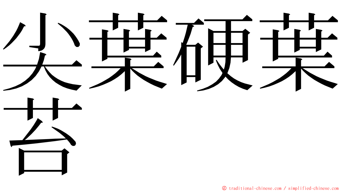 尖葉硬葉苔 ming font