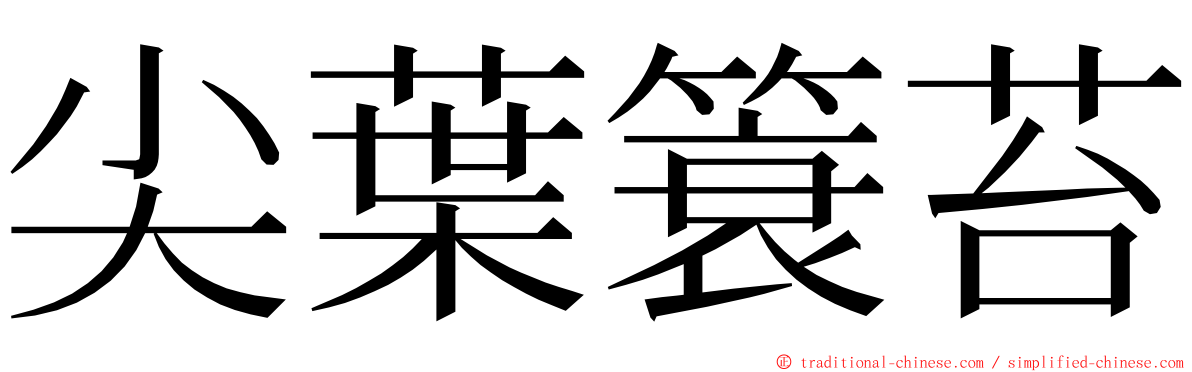 尖葉簑苔 ming font