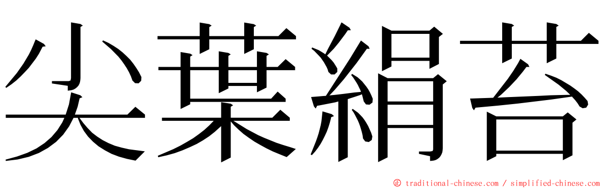 尖葉絹苔 ming font