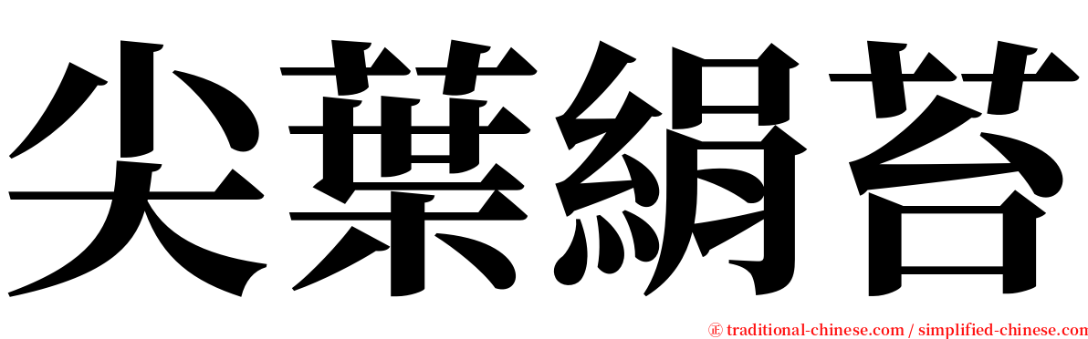 尖葉絹苔 serif font