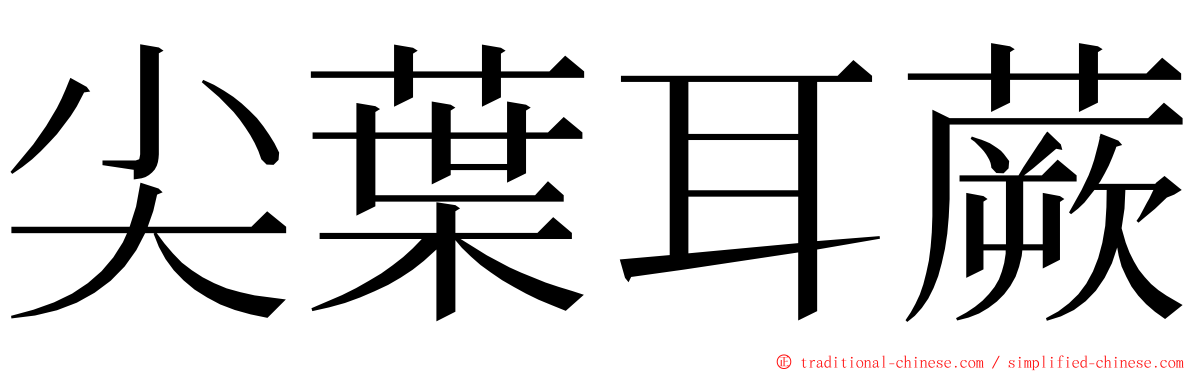 尖葉耳蕨 ming font