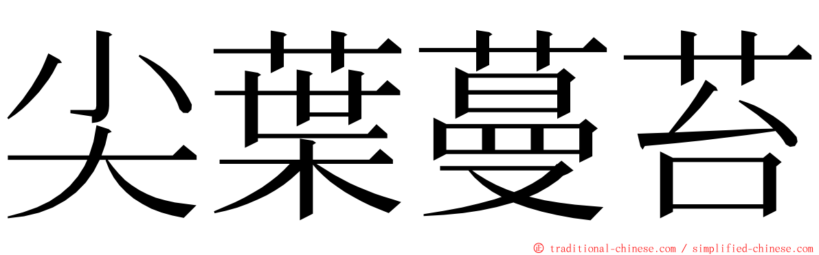 尖葉蔓苔 ming font