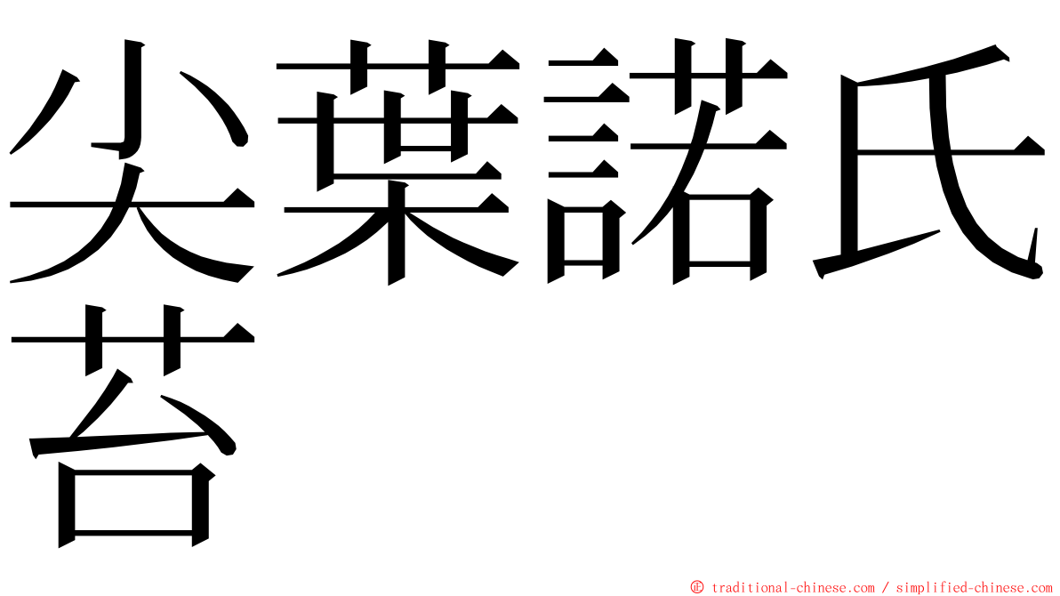 尖葉諾氏苔 ming font