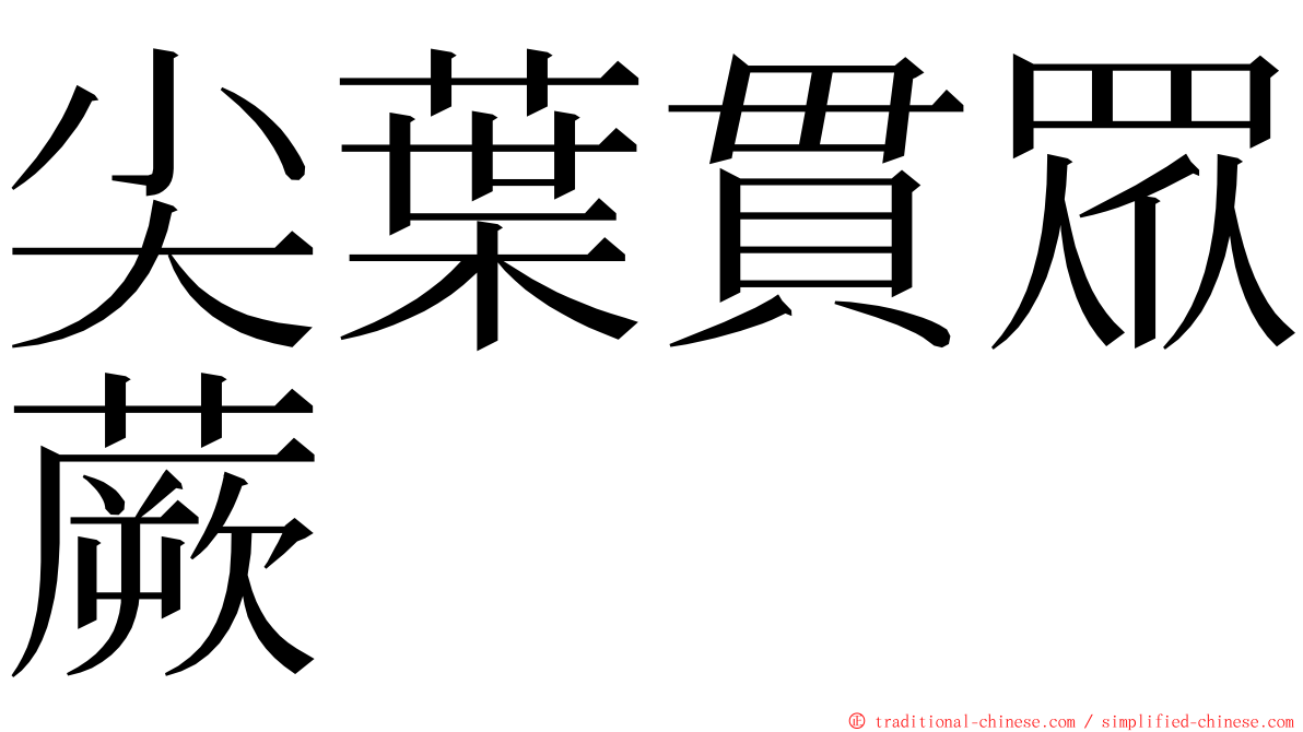 尖葉貫眾蕨 ming font