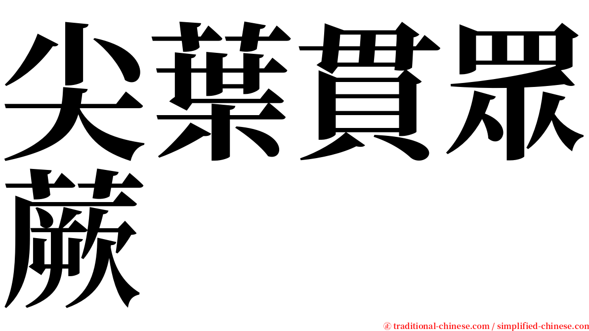 尖葉貫眾蕨 serif font