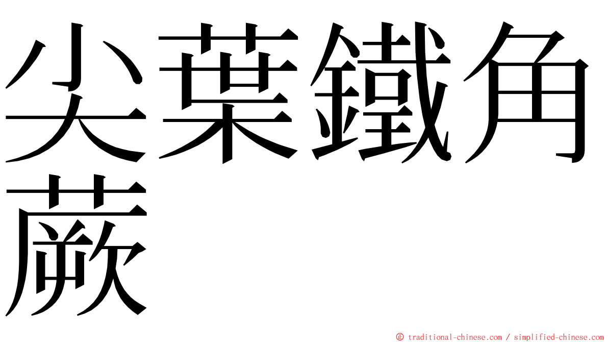 尖葉鐵角蕨 ming font