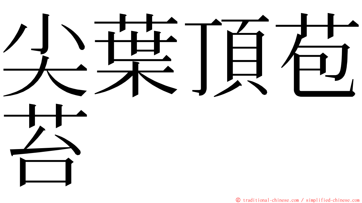 尖葉頂苞苔 ming font