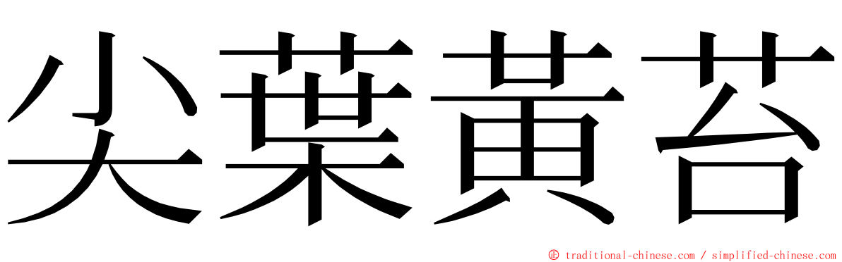 尖葉黃苔 ming font