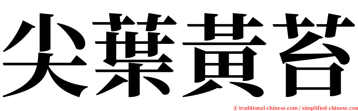 尖葉黃苔 serif font