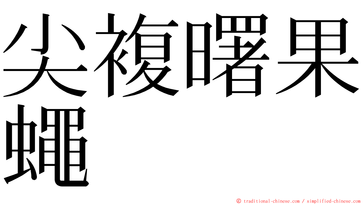 尖複曙果蠅 ming font