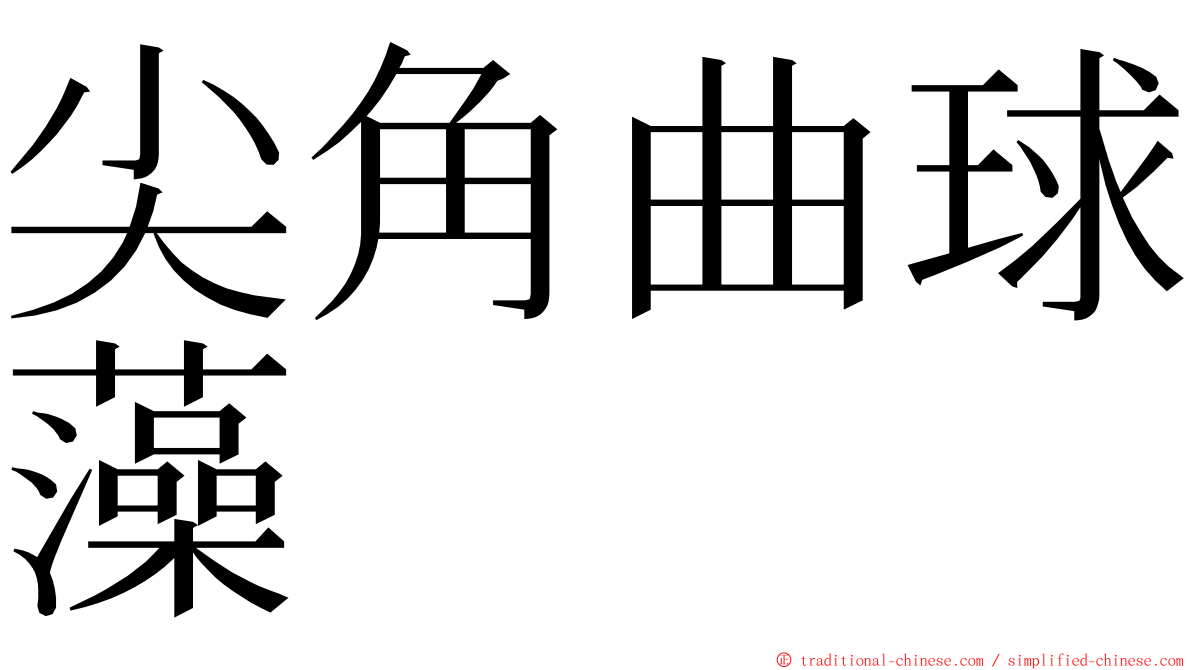 尖角曲球藻 ming font