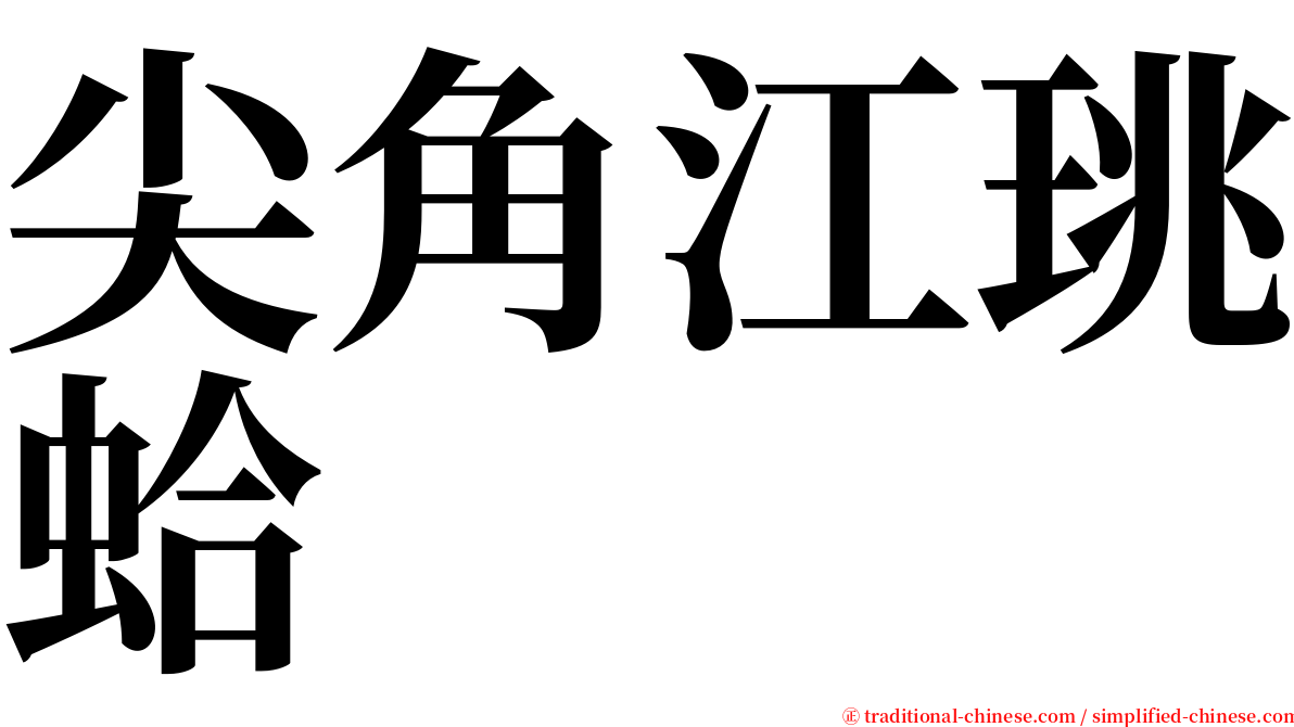 尖角江珧蛤 serif font