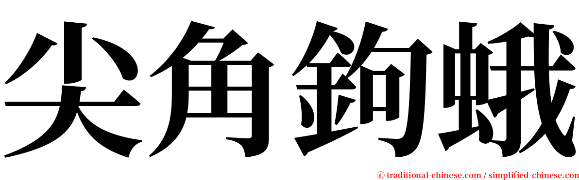 尖角鉤蛾 serif font