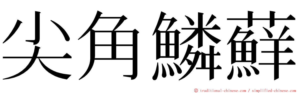 尖角鱗蘚 ming font