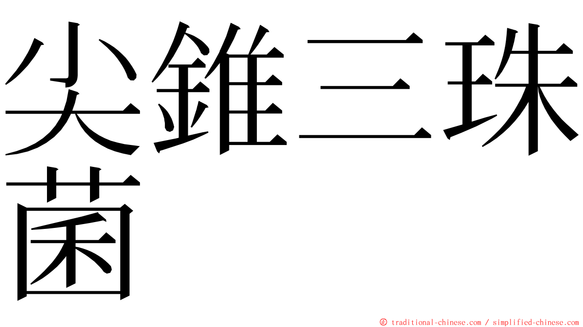 尖錐三珠菌 ming font