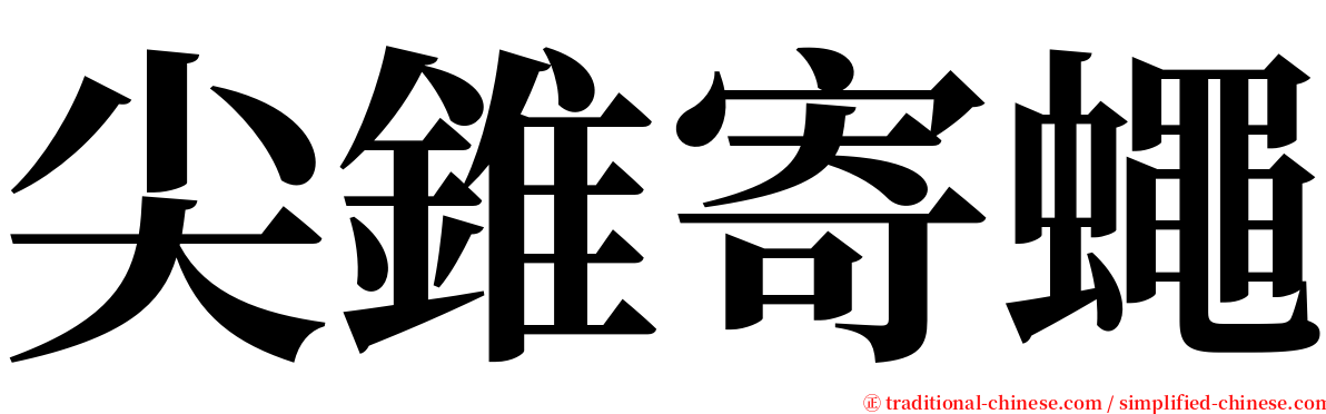 尖錐寄蠅 serif font