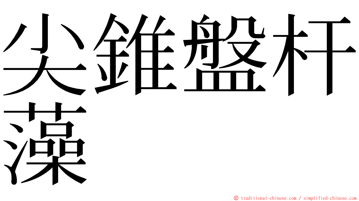 尖錐盤杆藻 ming font