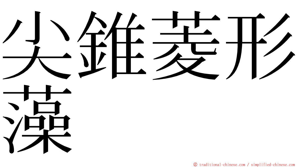 尖錐菱形藻 ming font